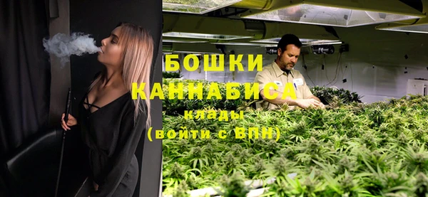 дживик Бородино